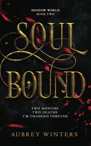 Soul Bound The Shadow World Book 2