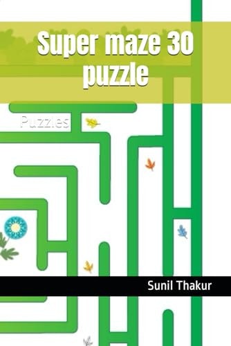 Super Maze 30 Puzzle Puzzles