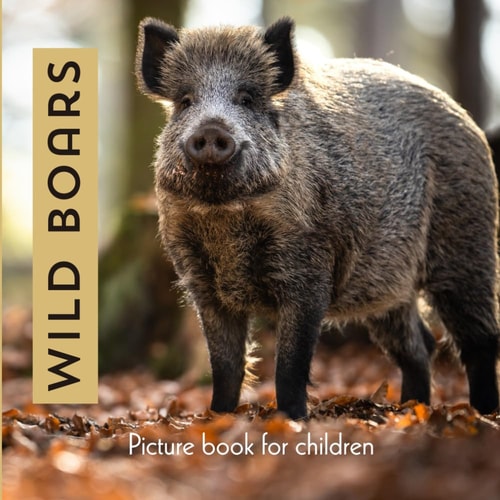 Wild Boars Picture Book for Children