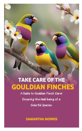 Take Care of the Gouldian Finches A Guide to Gouldian Finch Care: Ensuring the Well-being of a Colorful Species
