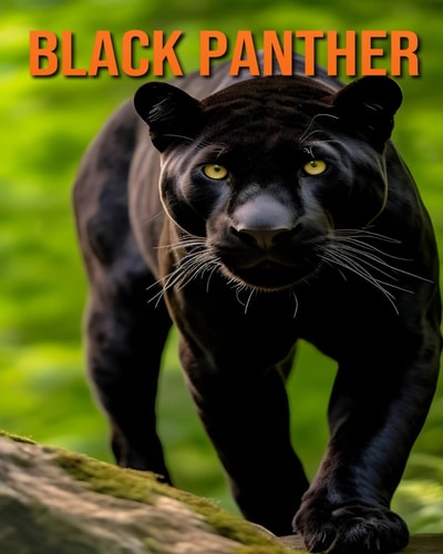 Black Panther Fun and Fascinating Facts and Pictures About Black Panther