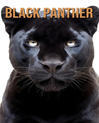 Black Panther Learn About Black Panther and Enjoy Amazing Facts & Pictures