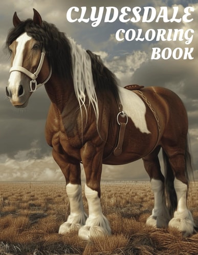 Clydesdale Coloring Book Gorgeous 8.5x11 Inch Illustrations of Horses for All Ages