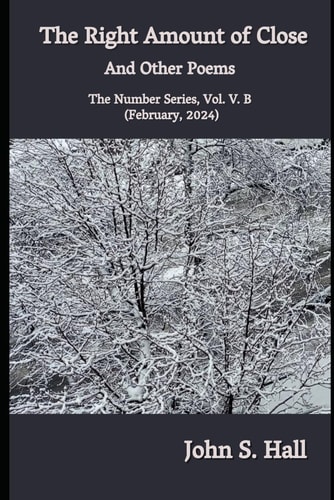 The Right Amount of Close and Other Poems The Number Series, Vol. V.B (February, 2024)