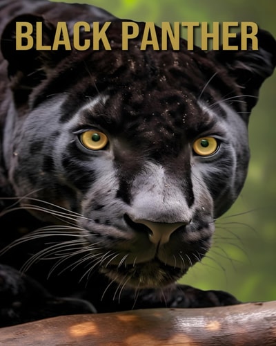 Black Panther Amazing Picture and Facts About Black Panther for Children's