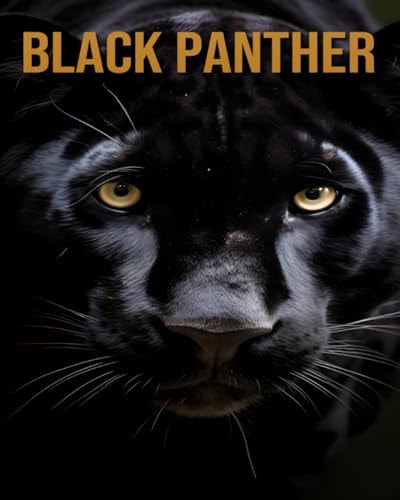 Black Panther Discover Your Animals