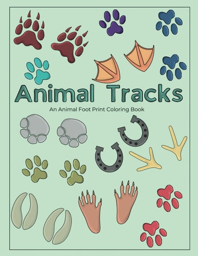 Animal Tracks Coloring Book An Animal Footprint Coloring Book