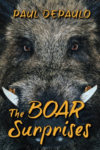 The Boar Surprises