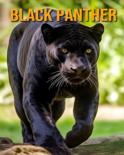 Black Panther Animals Books For Kids