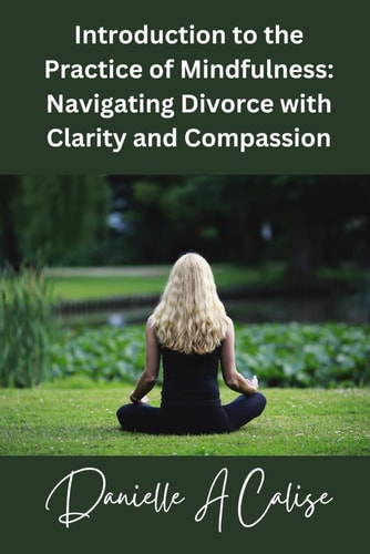Introduction to the Practice of Mindfulness Navigating Divorce with Clarity and Compassion