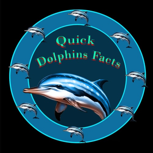 Quick Dolphins Facts