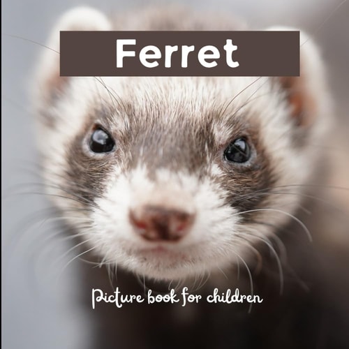 Ferret Picture Book for Children