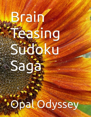 Brain Teasing Sudoku Saga