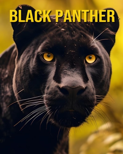 Black Panther A Picture Book about Black Panther and Their Babies