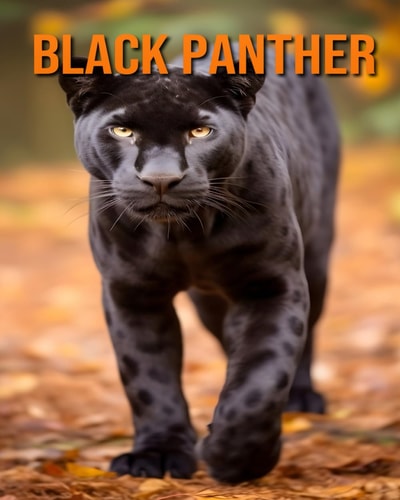 Black Panther Cool Facts for Kids About These Amazing and Powerful Animals