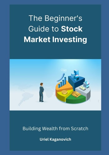 The Beginner's Guide to Stock Market Investing Building Wealth from Scratch