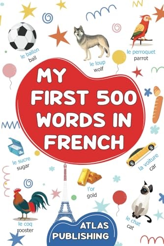 MY FIRST BILINGUAL FRENCH ENGLISH PICTURE BOOK 500 Words in the French Language - a Visual... Dictionary with Illustrated Words on Everyday