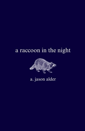 A Raccoon in the Night