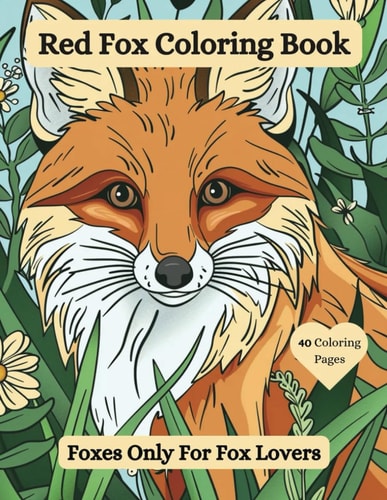 Red Fox Coloring Book Foxes Only For Fox Lovers