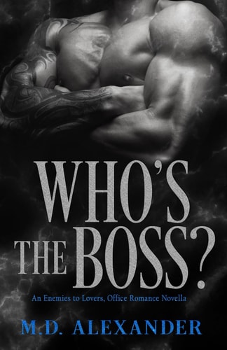 Who's The Boss? An Enemies to Lovers, Office Romance