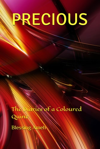 Precious The Diaries of a Coloured Quine