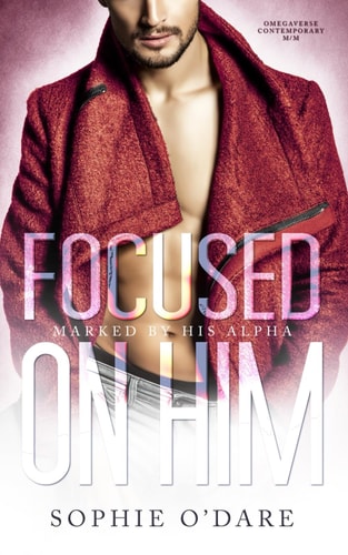 Focused on Him Omegaverse Contemporary M/M