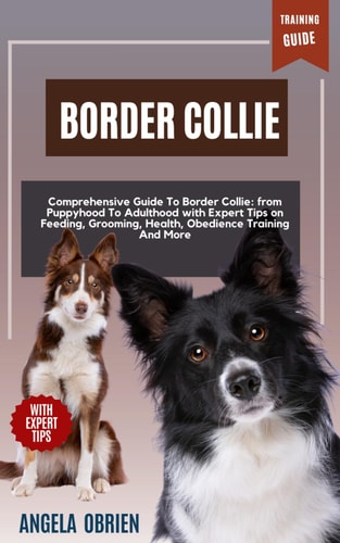 BORDER COLLIE Training Guide Comprehensive Guide To Border Collie Care: From Puppyhood To Adulthood with Expert Tips on Feeding, Grooming, Health, Obedience Training And More