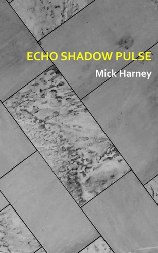Echo Shadow Pulse
