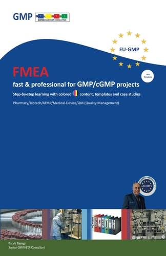 FMEA Fast & Professional for GMP/cGMP Projects Step-by-step Learning with Colored Content, Templates and Case Studies