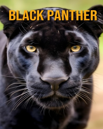 Black Panther An Amazing Kids Book About Black Panther