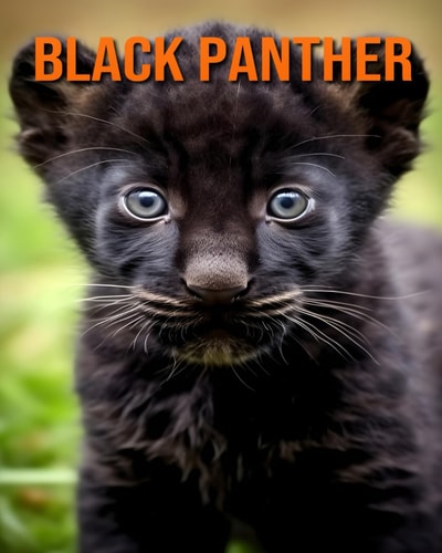 Black Panther A Picture Book with Fun Facts about Black Panther