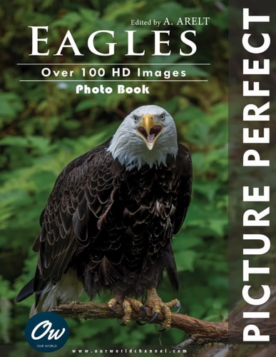 Eagles Picture Perfect: Photo Book