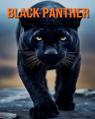 Black Panther Fun and Facts and Pictures About Black Panther