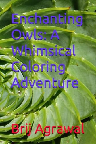 Enchanting Owls A Whimsical Coloring Adventure