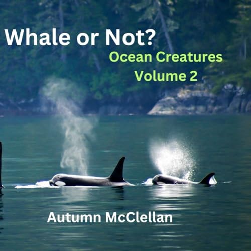 Whale Or Not? Ocean Creatures Volume 2