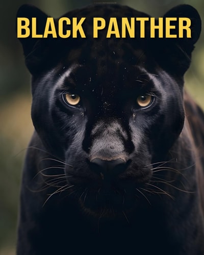 Black Panther Fun Facts and Amazing Pictures About Black Panther