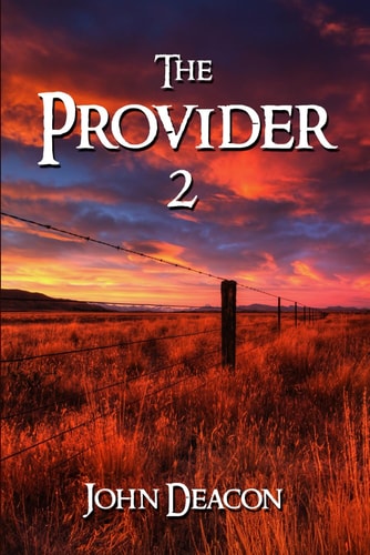 The Provider 2