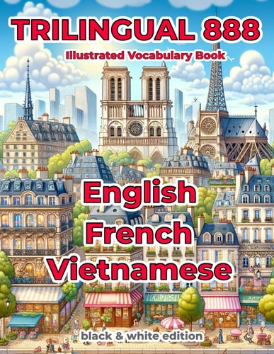 Trilingual 888 English French Vietnamese Illustrated Vocabulary Book Help Your Child Master New Words Effortlessly