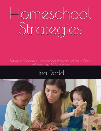 Homeschool Strategies Set Up a Successful Homeschool Program for Your Child with Our Top 10 Strategies