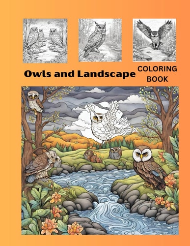 Owls and Landscape Coloring Book Over 100 One-sided Grayscale Intricate Fine Line Prints Perfect for Artist's Tools and Colored Pencils