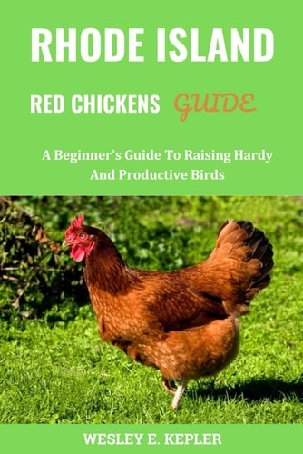 Rhode Island Red Chickens Guide A Beginner's Guide To Raising Hardy And Productive Birds