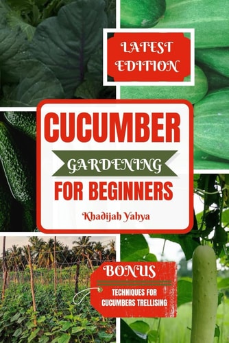 Cucumber Gardening for Beginners How To Grow Your Cucumbers at Home, Garden, Or Backyard