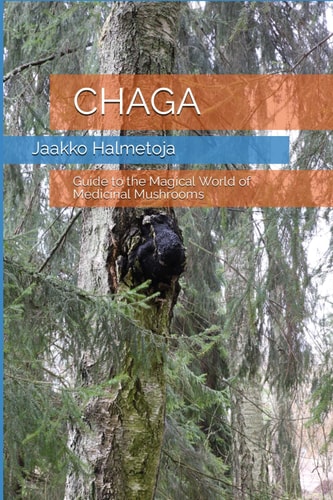 Chaga Guide to the Magical World of Medicinal Mushrooms