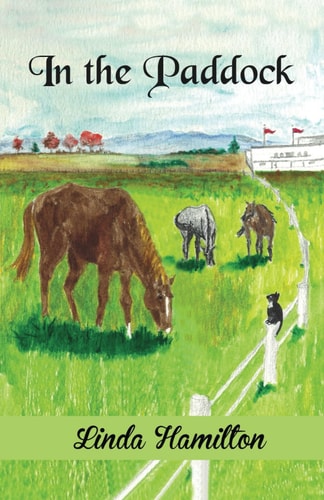 In the Paddock