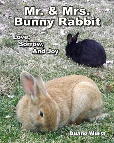 Mr. And Mrs. Bunny Rabbit Love, Sorrow, and Joy