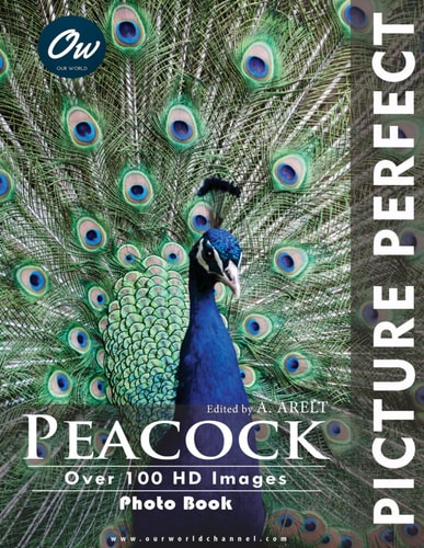 Peacock Picture Perfect Photo Book