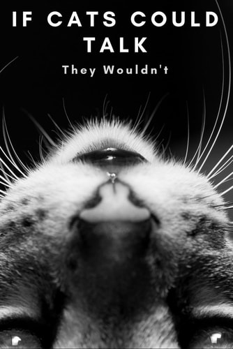If Cats Could Talk They Wouldn't The Book for Those Ruled by a Small Furry Overlord!