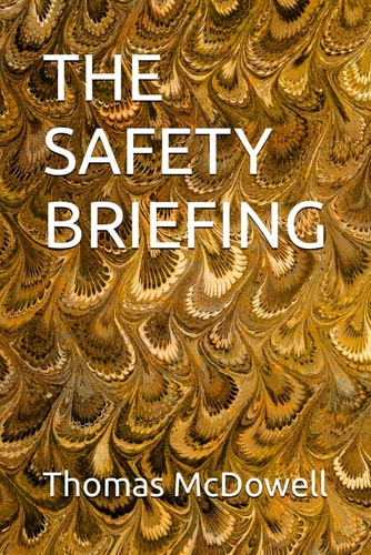 The Safety Briefing
