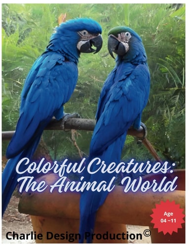 Colorful Creatures The Animal World