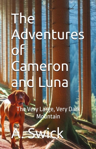 The Adventures of Cameron and Luna The Very Large, Very Dark Mountain